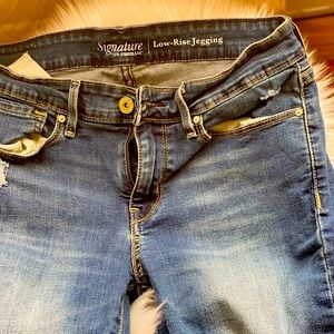 Signature Levi Strauss & co